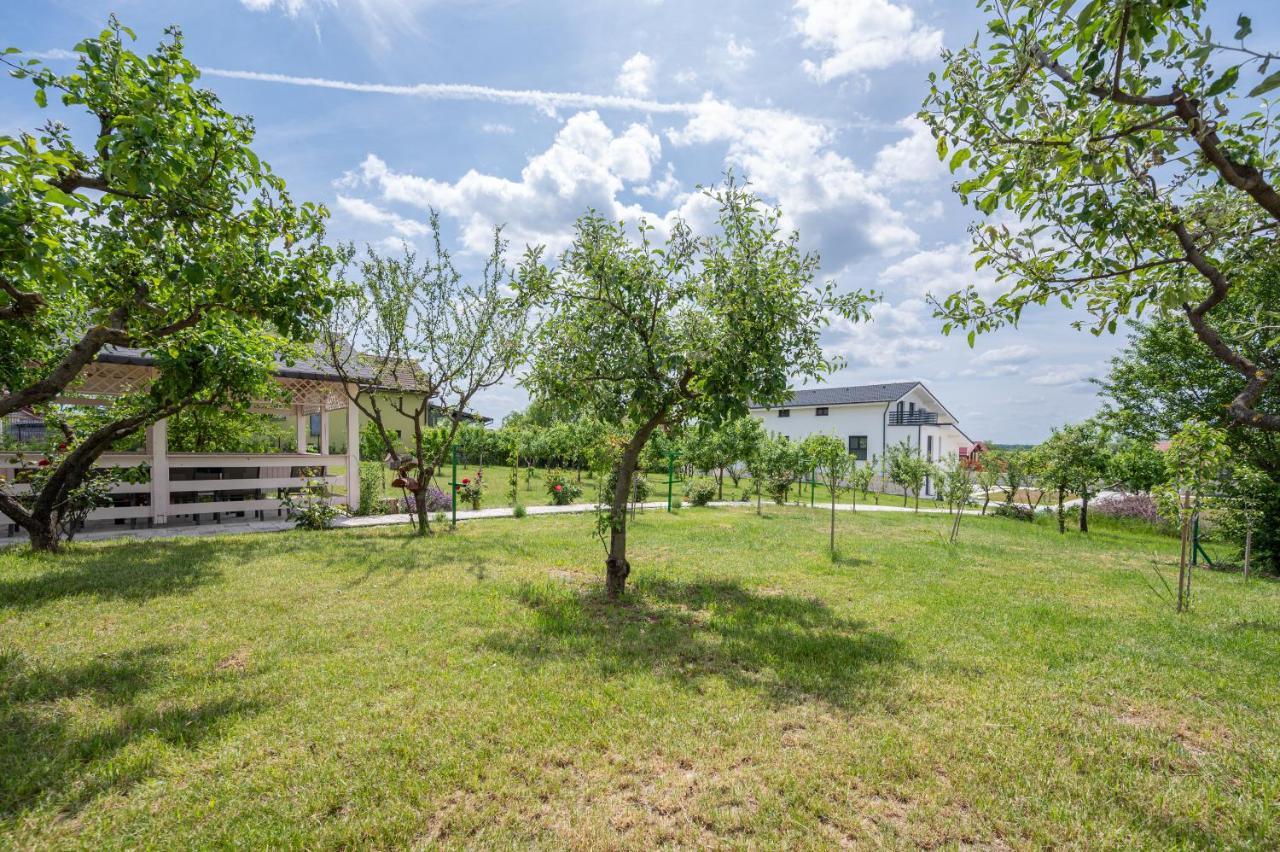 Casa Fischer Apartment Ciheiu Bagian luar foto